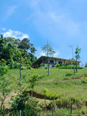Bosque Místico